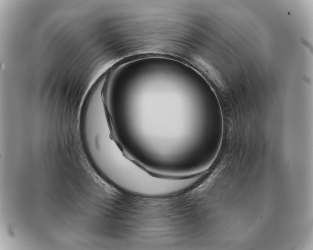 X0000091530884200708171218