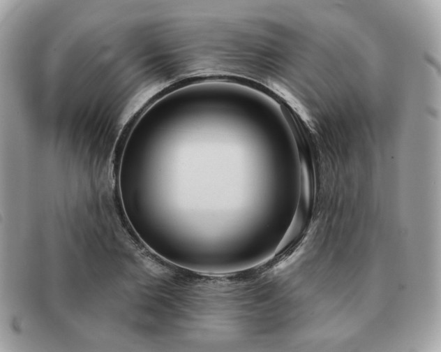 X0000091530885200708171218