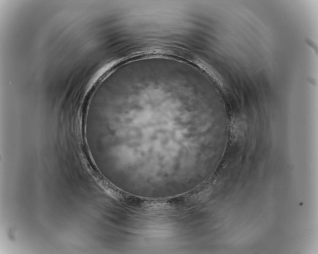 X0000091530886200708171218