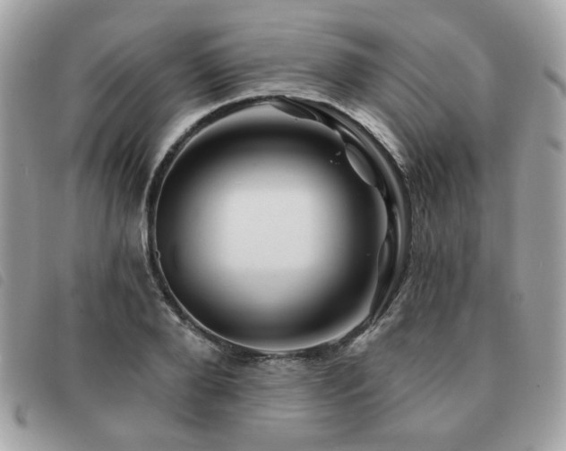 X0000091530888200708171218