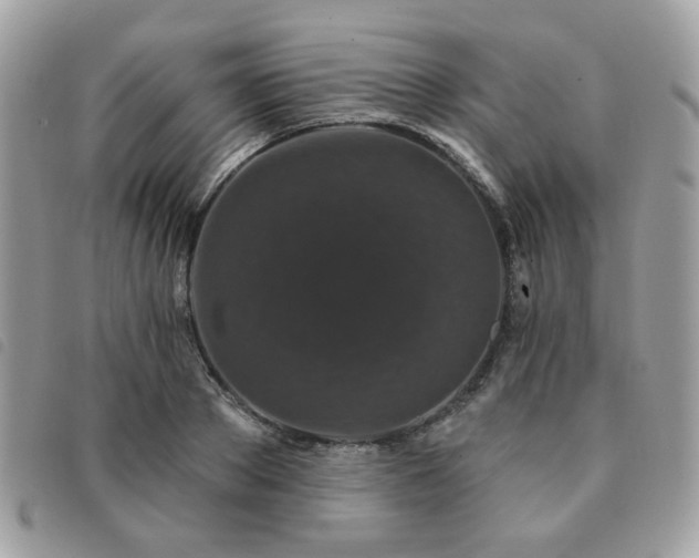 X0000091530889200708171218