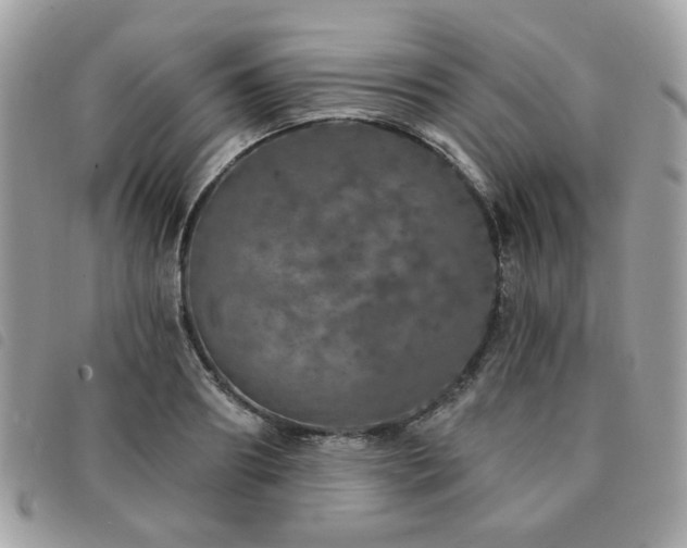 X0000091530890200708171218