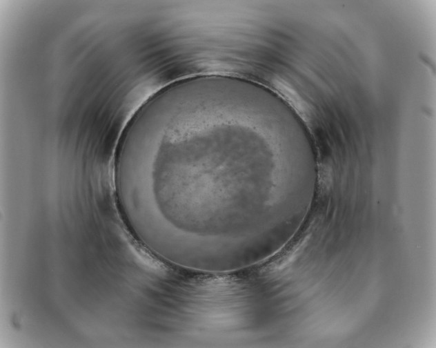 X0000091530891200708171218