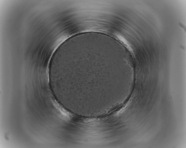 X0000091530892200708171218