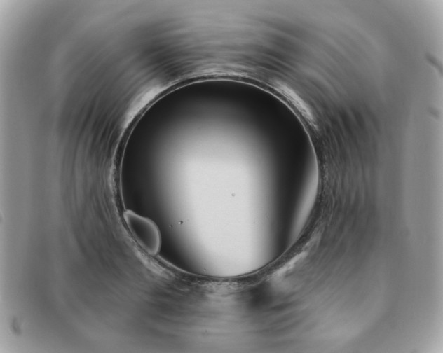 X0000091530893200708171218