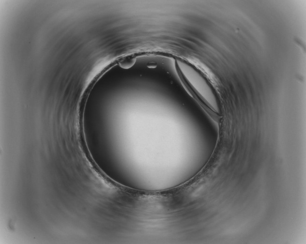 X0000091530894200708171218