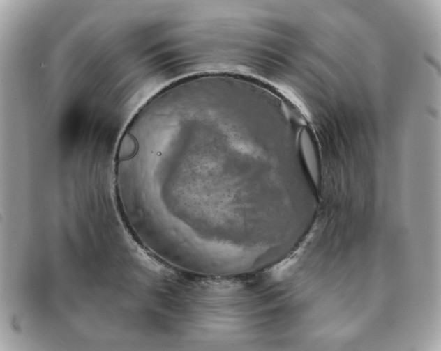 X0000091530895200708171218