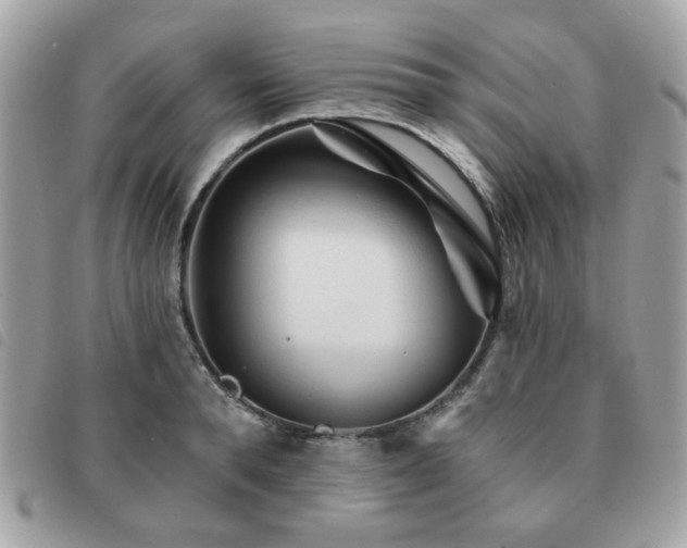 X0000091530896200708171218