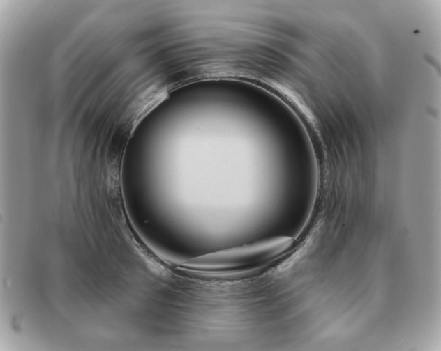 X0000091530897200708171218