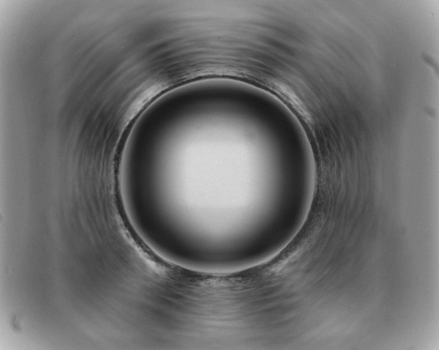 X0000091530898200708171218