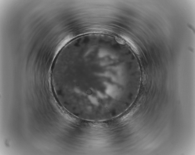 X0000091530899200708171218