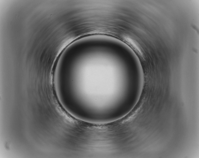 X0000091530900200708171218