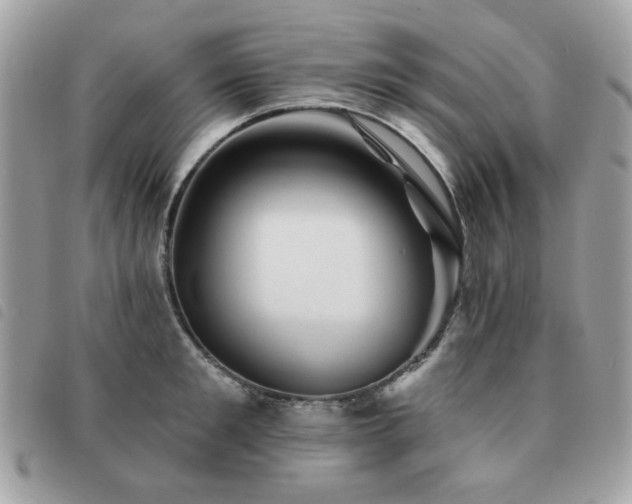 X0000091530901200708171218