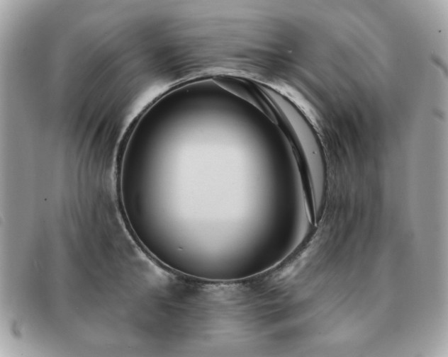X0000091530902200708171218