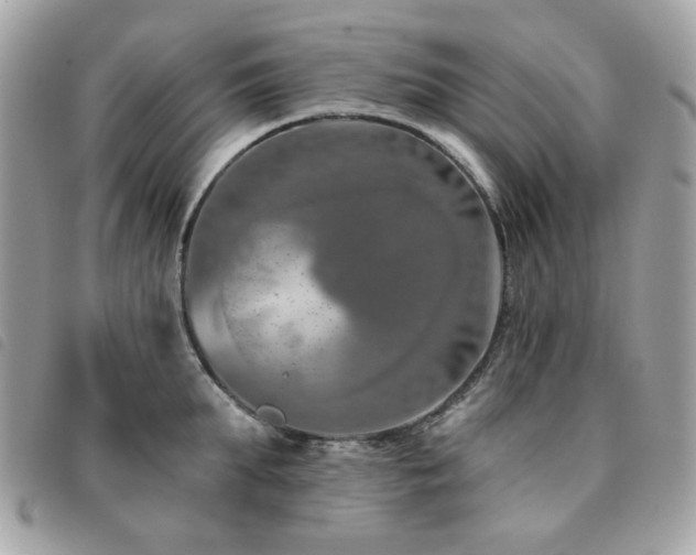 X0000091530903200708171218