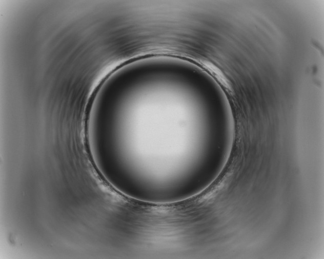 X0000091530904200708171218