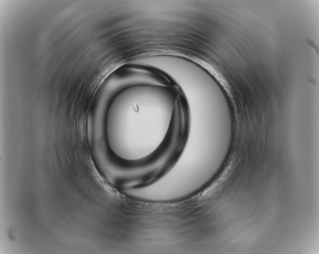 X0000091530905200708171218