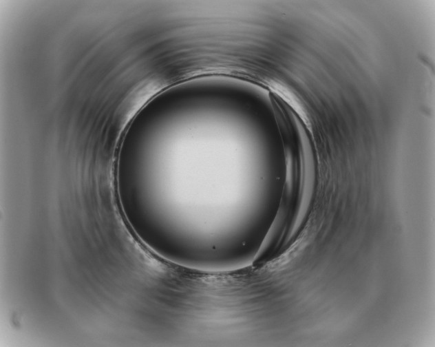 X0000091530906200708171218