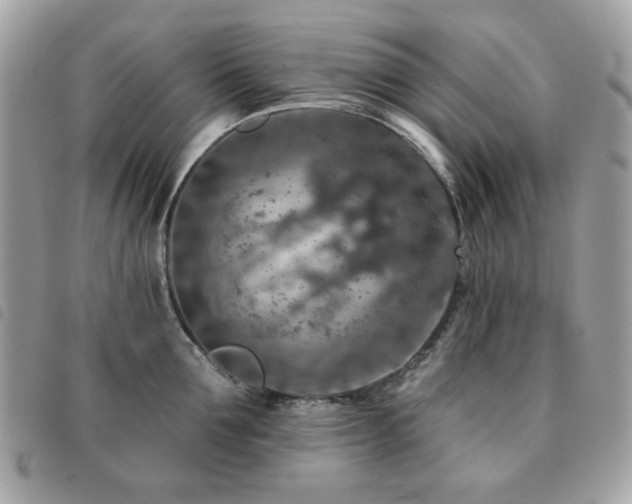 X0000091530907200708171218