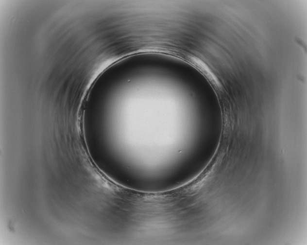 X0000091530908200708171218