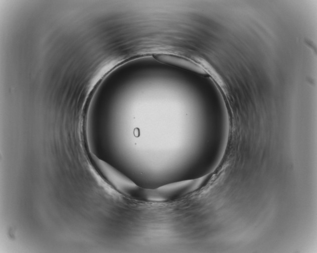 X0000091530909200708171218