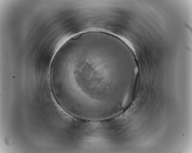 X0000091530911200708171218