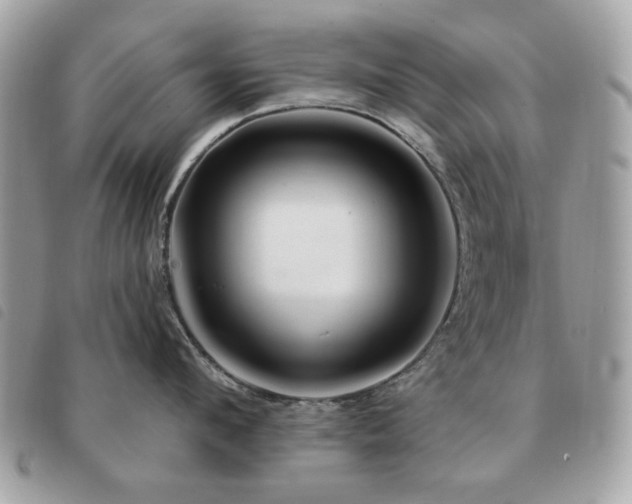 X0000091530912200708171218