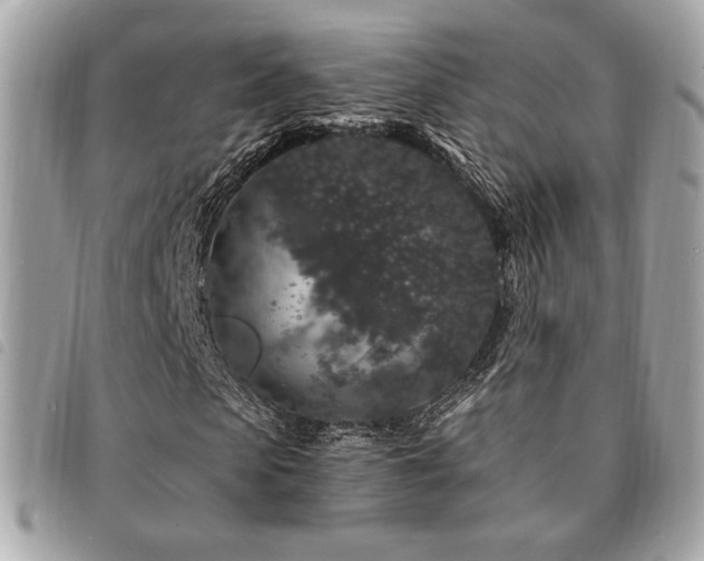 X0000091530913200708171217