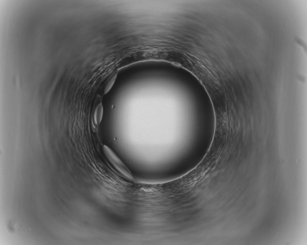 X0000091530914200708171217