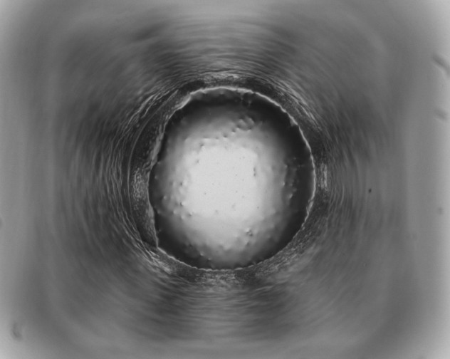 X0000091530915200708171217