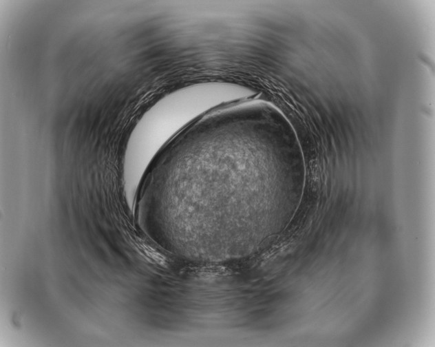 X0000091530916200708171217