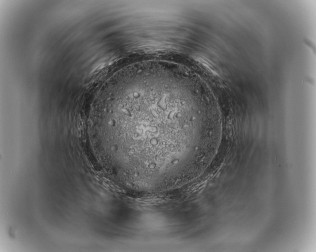 X0000091530917200708171217