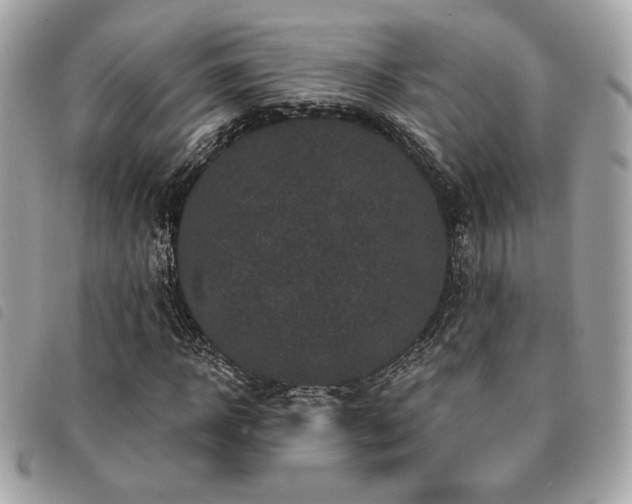X0000091530918200708171217