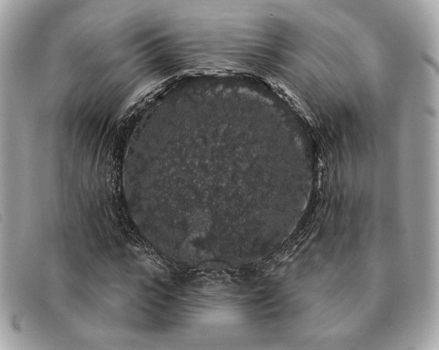 X0000091530919200708171217
