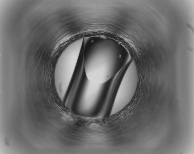 X0000091530920200708171217
