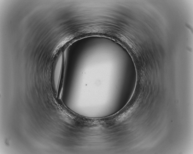 X0000091530922200708171217