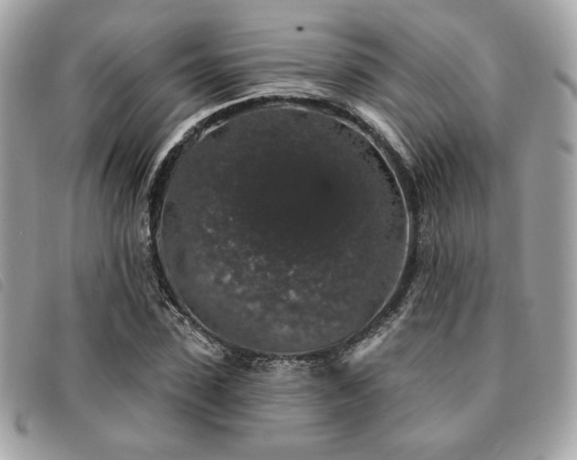X0000091530923200708171217