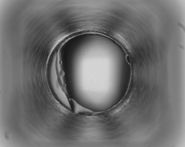 X0000091530924200708171217