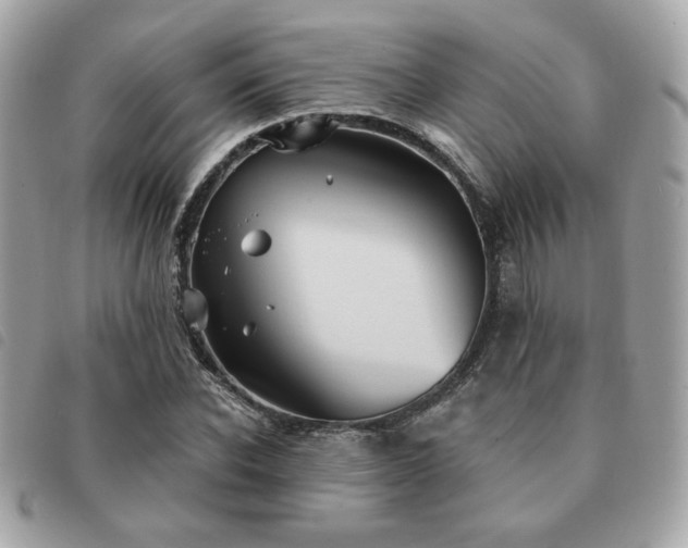 X0000091530926200708171217