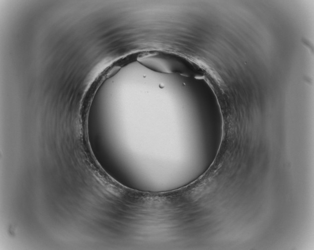 X0000091530927200708171217