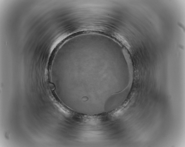 X0000091530928200708171217