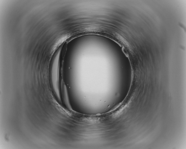X0000091530930200708171217