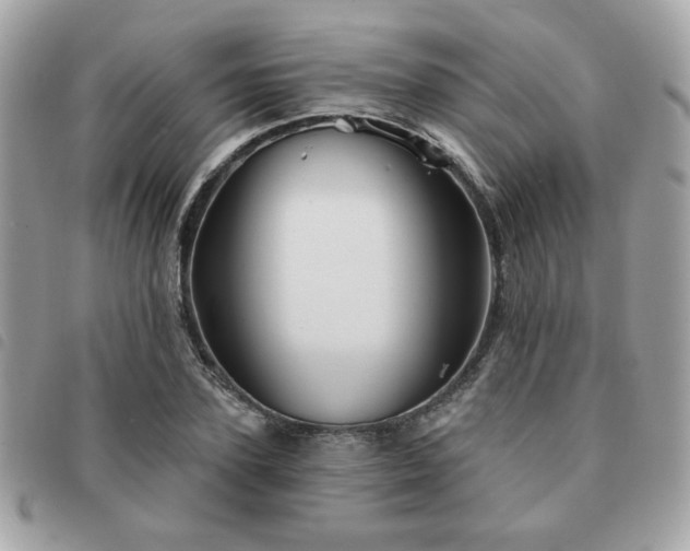 X0000091530931200708171217