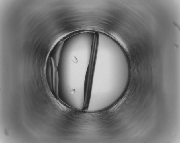 X0000091530932200708171217