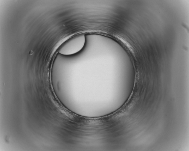 X0000091530933200708171217