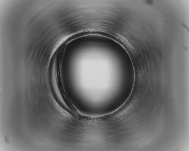 X0000091530934200708171217