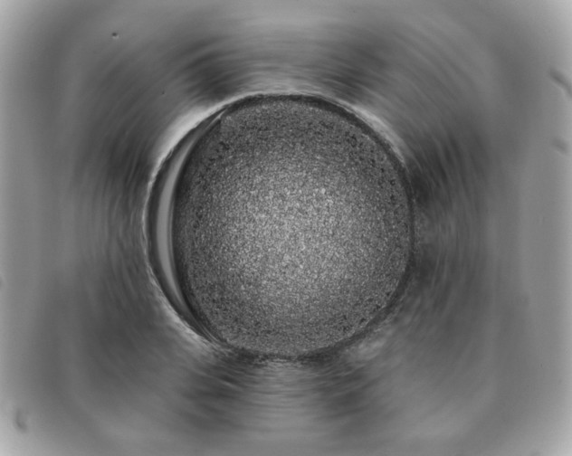 X0000091530935200708171217