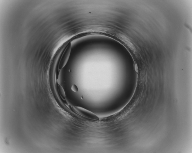 X0000091530936200708171217