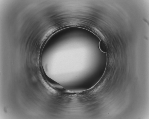 X0000091530938200708171217