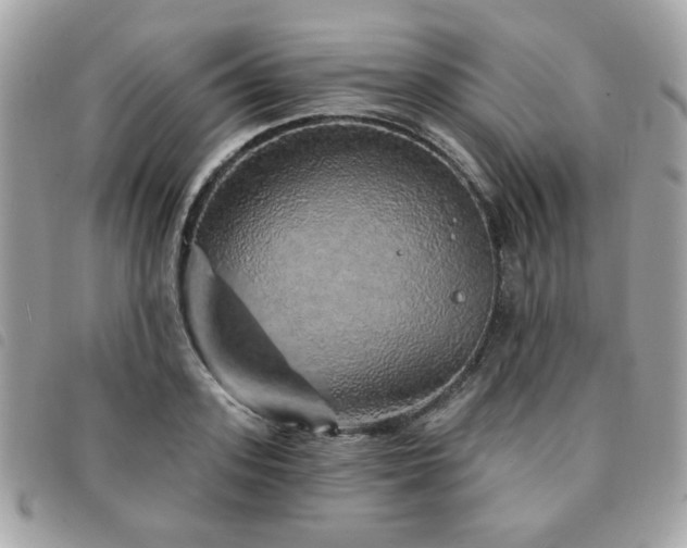 X0000091530939200708171217